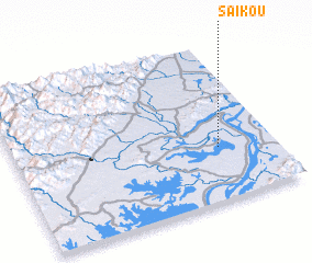 3d view of Saikou