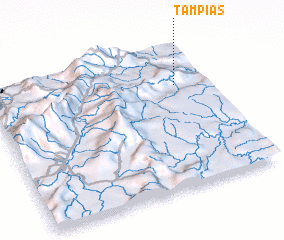 3d view of Tampias