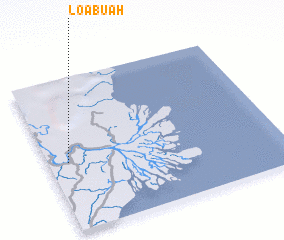 3d view of Loabuah