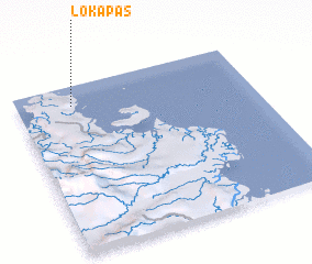 3d view of Lokapas