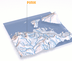 3d view of Punik