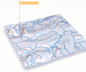 3d view of Pininakan