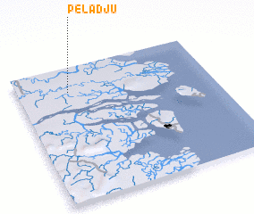 3d view of Peladju