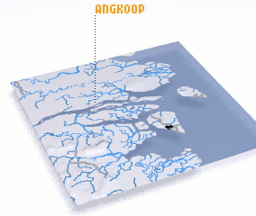 3d view of Angkoop