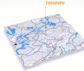 3d view of Tongpopu