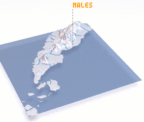 3d view of Males