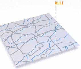 3d view of Muli