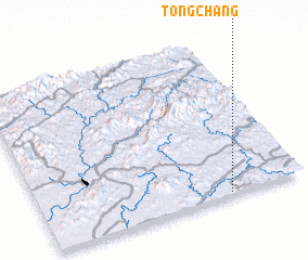 3d view of Tongchang