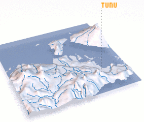 3d view of Tunu