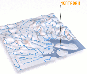 3d view of Mentadak