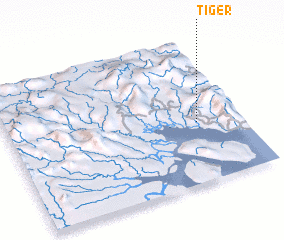 3d view of Tiger