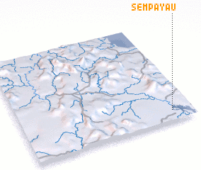 3d view of Sempayau