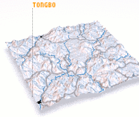 3d view of Tongbo
