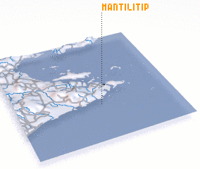 3d view of Mantilitip