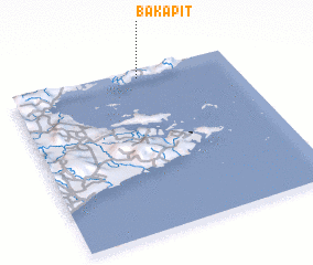 3d view of Bakapit