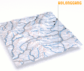 3d view of Wolonggang