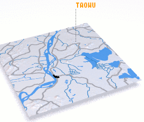 3d view of Taowu