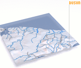 3d view of Dusun