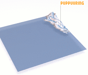 3d view of Puppuuring