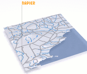 3d view of Napier