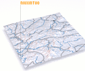 3d view of Niuxintuo