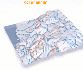 3d view of Salobaroke