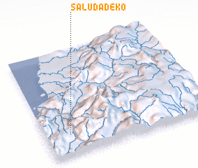 3d view of Saludadeko