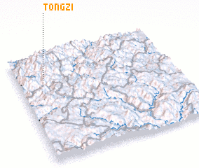 3d view of Tongzi