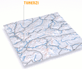 3d view of Tumenzi