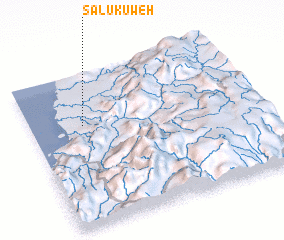 3d view of Salukuweh