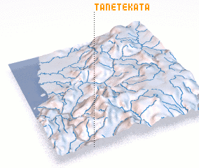 3d view of Tanetekata