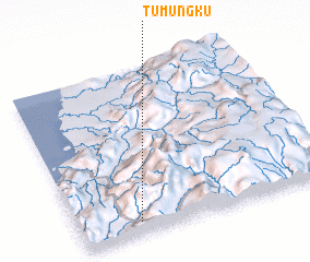 3d view of Tumungku
