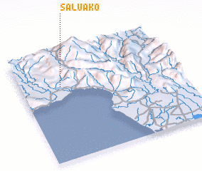 3d view of Saluako