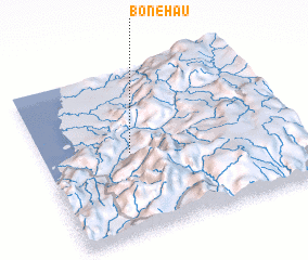 3d view of Bonehau
