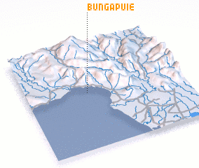 3d view of Bungapuie