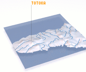 3d view of Totoka