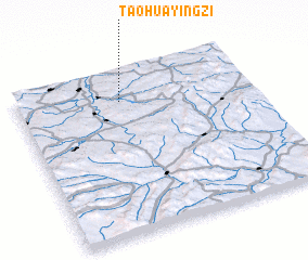 3d view of Taohuayingzi