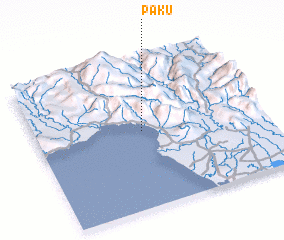 3d view of Paku