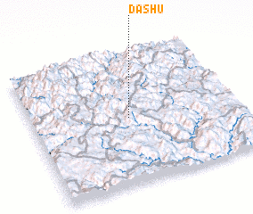 3d view of Dashu