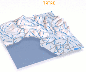 3d view of Tatae