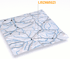 3d view of Linzhangzi