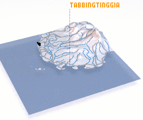 3d view of Tabbingtinggia