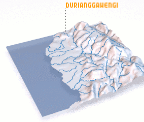 3d view of Durianggawengi