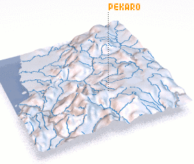 3d view of Pekaro