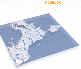 3d view of Capayas