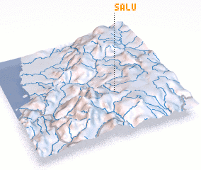 3d view of Salu