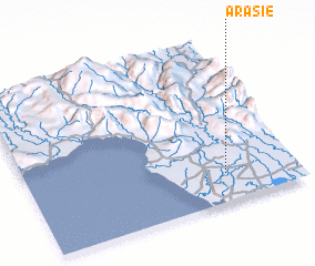 3d view of Arasie