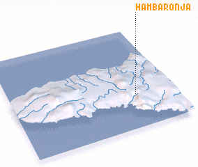 3d view of Hambaronja