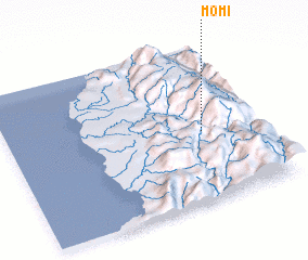 3d view of Momi