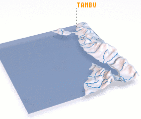 3d view of Tambu